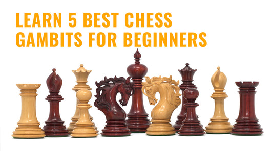 LEARN 5 BEST CHESS GAMBITS FOR BEGINNERS
