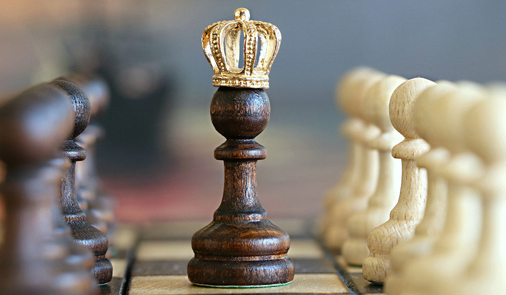 Making The Best Use of Pawns in Chess