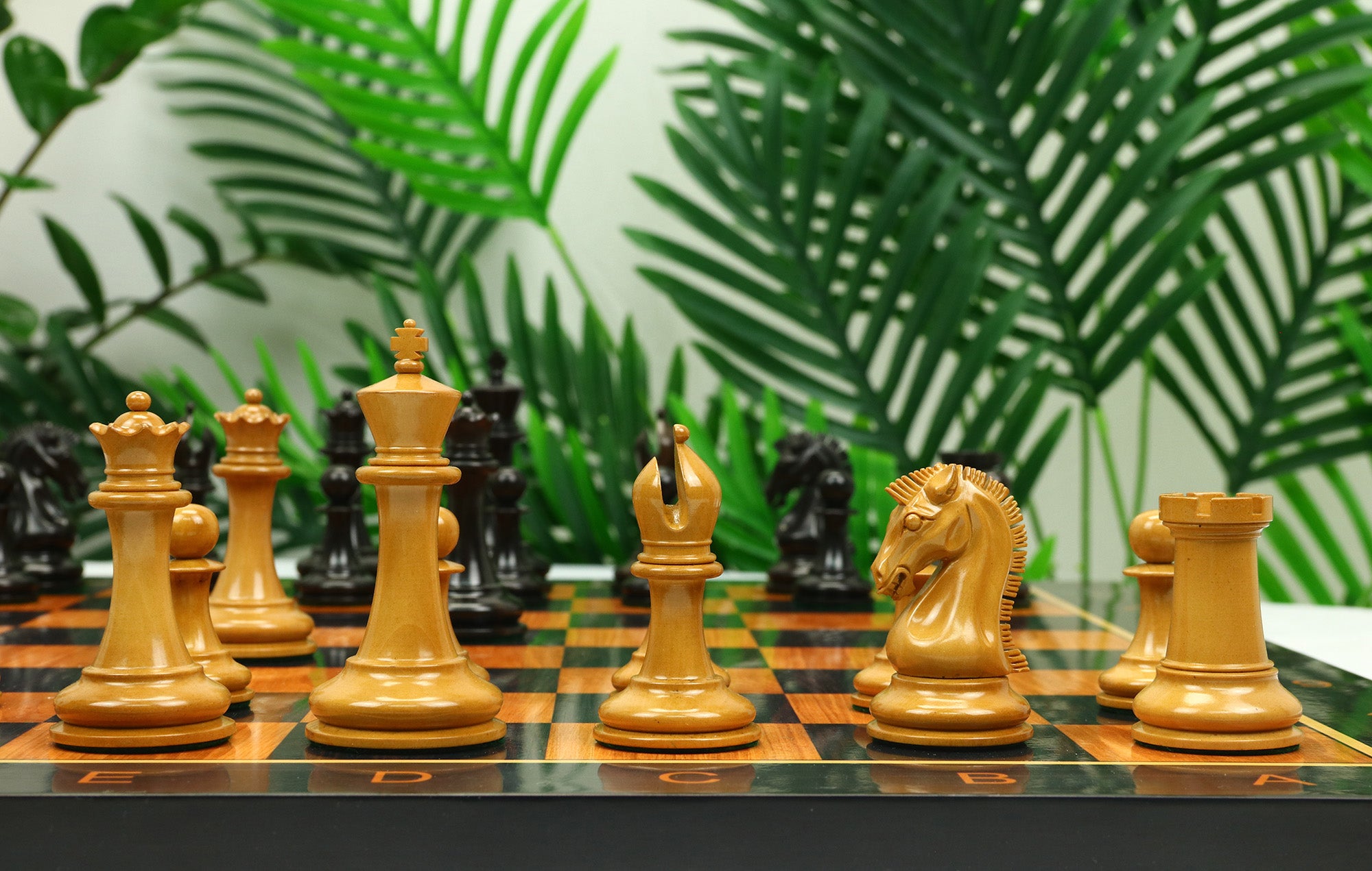 Commemorative Signature Series 3.625" Staunton Chessmen in Antiqued Boxwood/Ebony