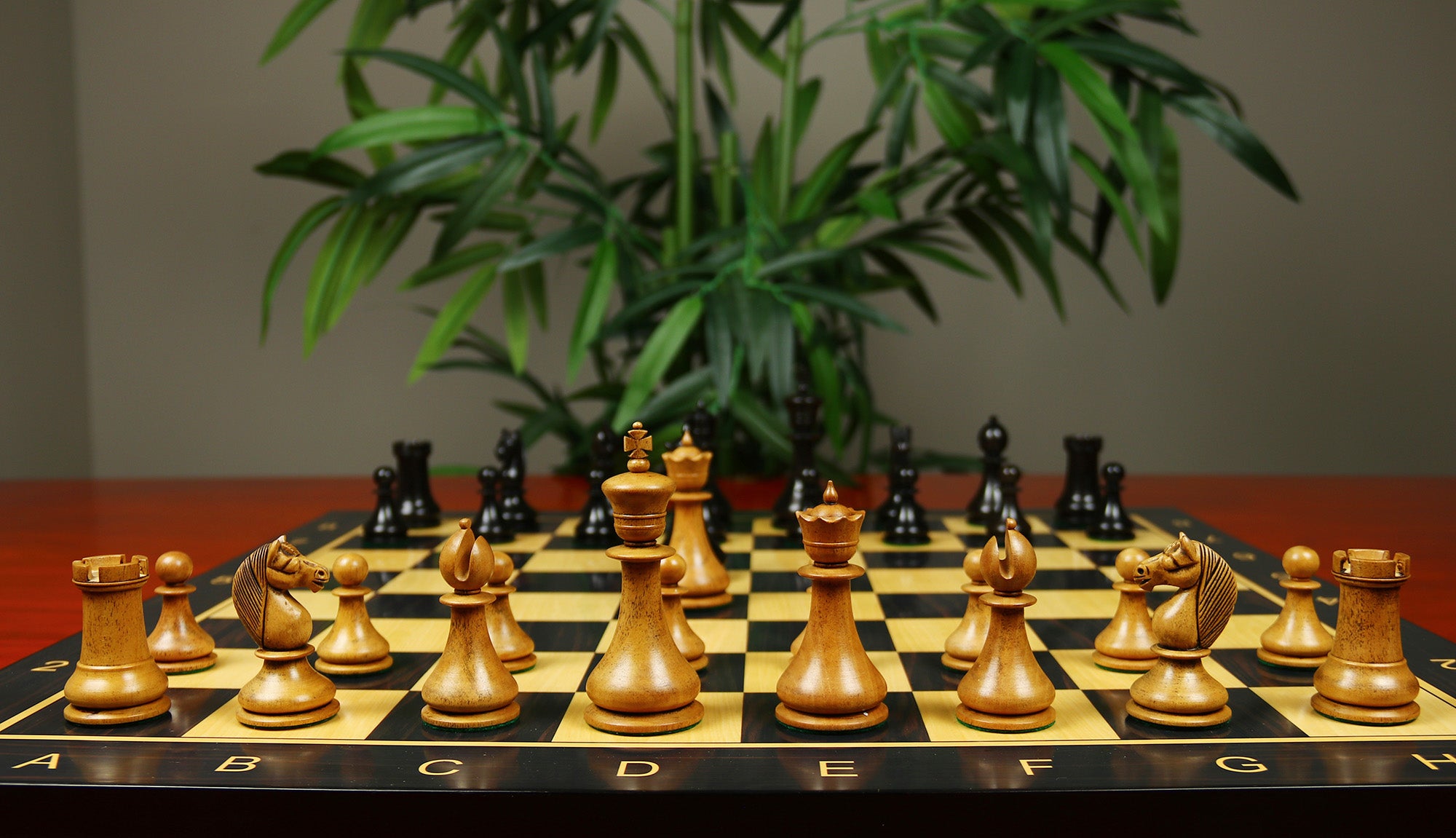 1830 Dublin Style Reproduced Historical Chess Set - 3.75" King Height in Distressed Boxwood & Ebony Wood