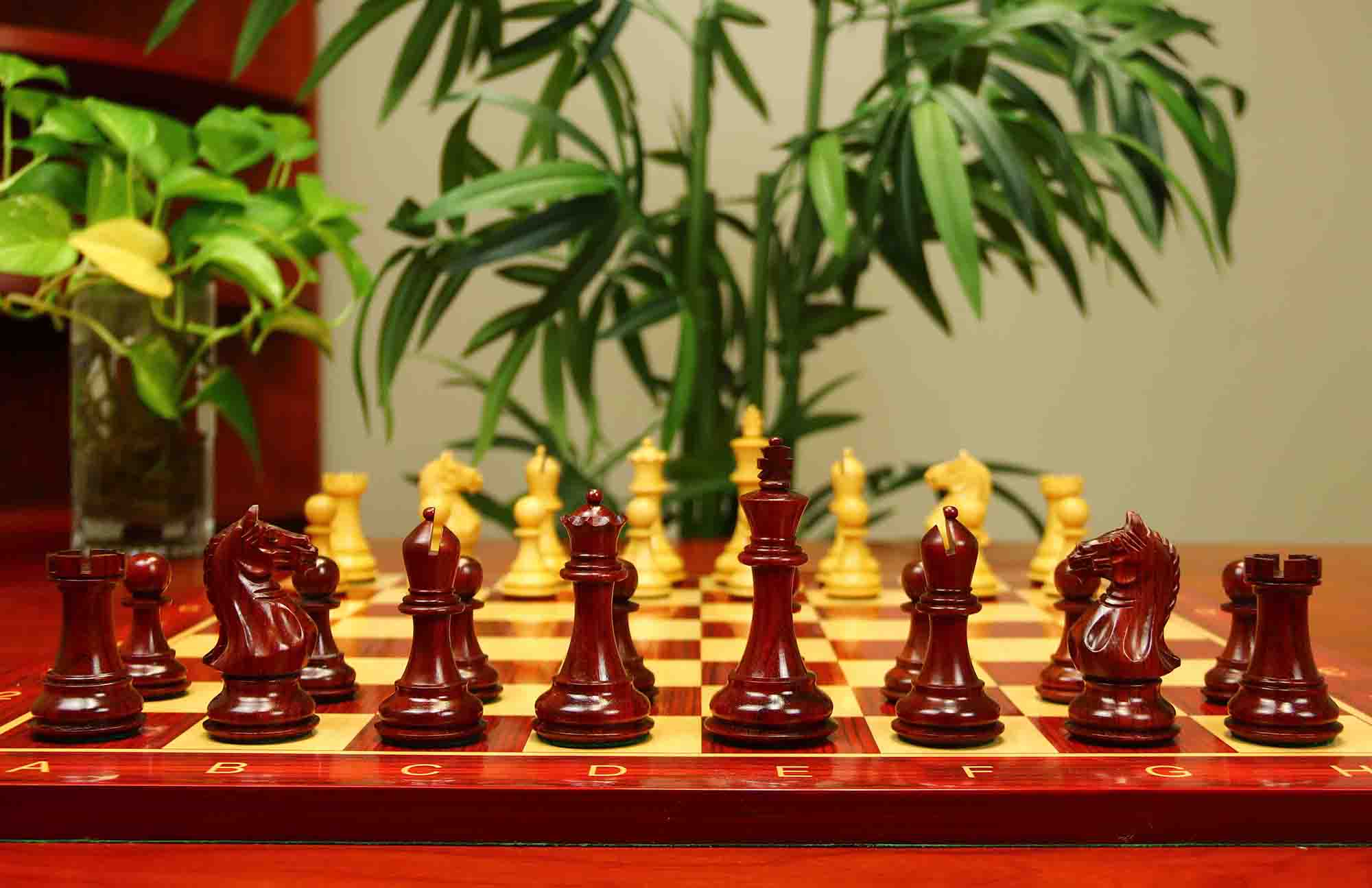 Fierce Series Chess Set 4" Staunton Chess Set - African Padouk & Boxwood