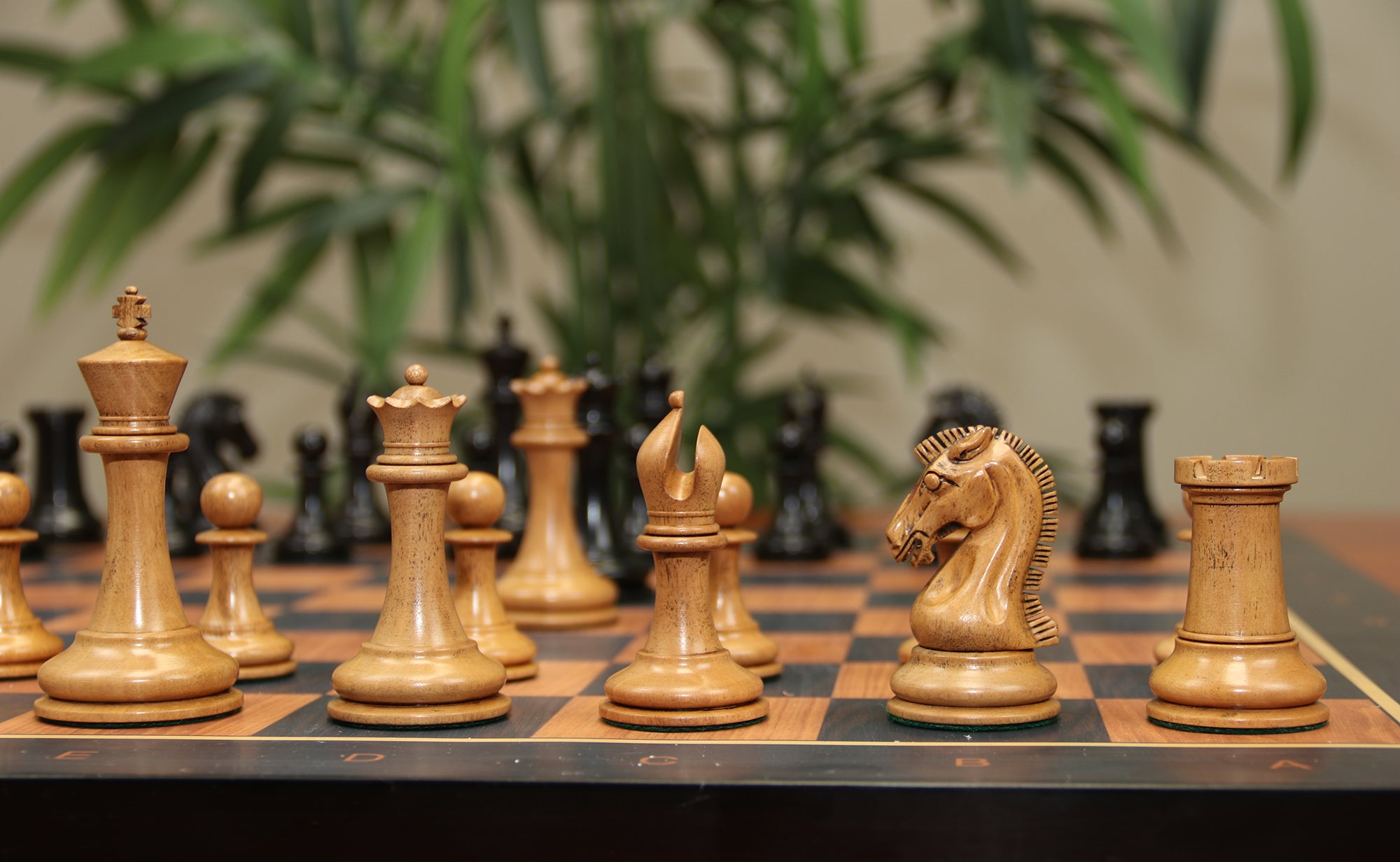 Commemorative Signature Series 3.625" Staunton Chessmen by in Distressed Boxwood/Ebony