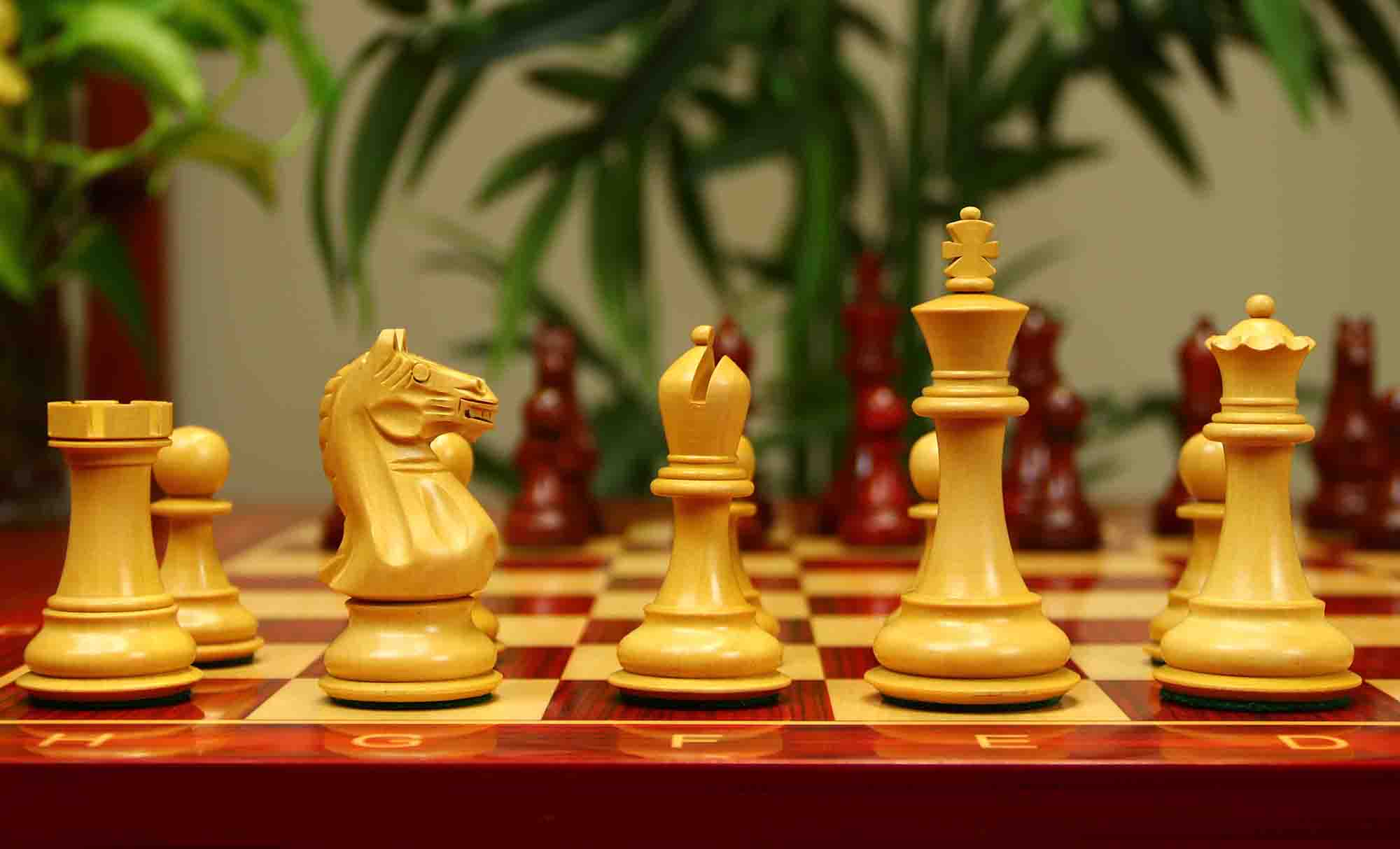 Fierce Series Chess Set 4" Staunton Chess Set - African Padouk & Boxwood