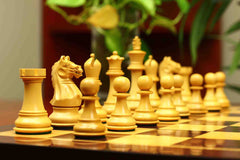 Fierce Series Chess Set 4" Staunton Chess Set - Indian Rosewood & Boxwood