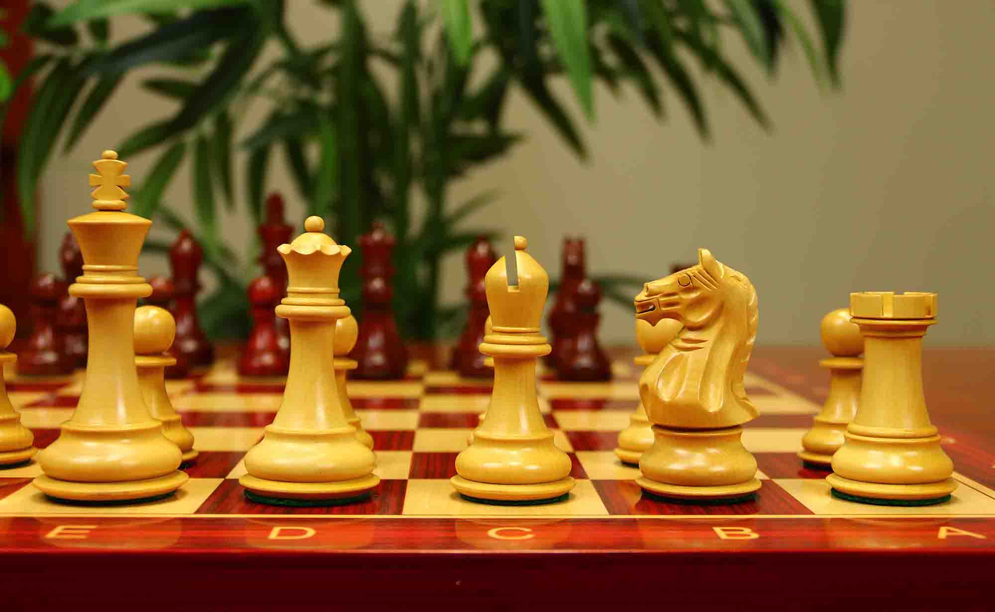 Fierce Series Chess Set 4" Staunton Chess Set - African Padouk & Boxwood