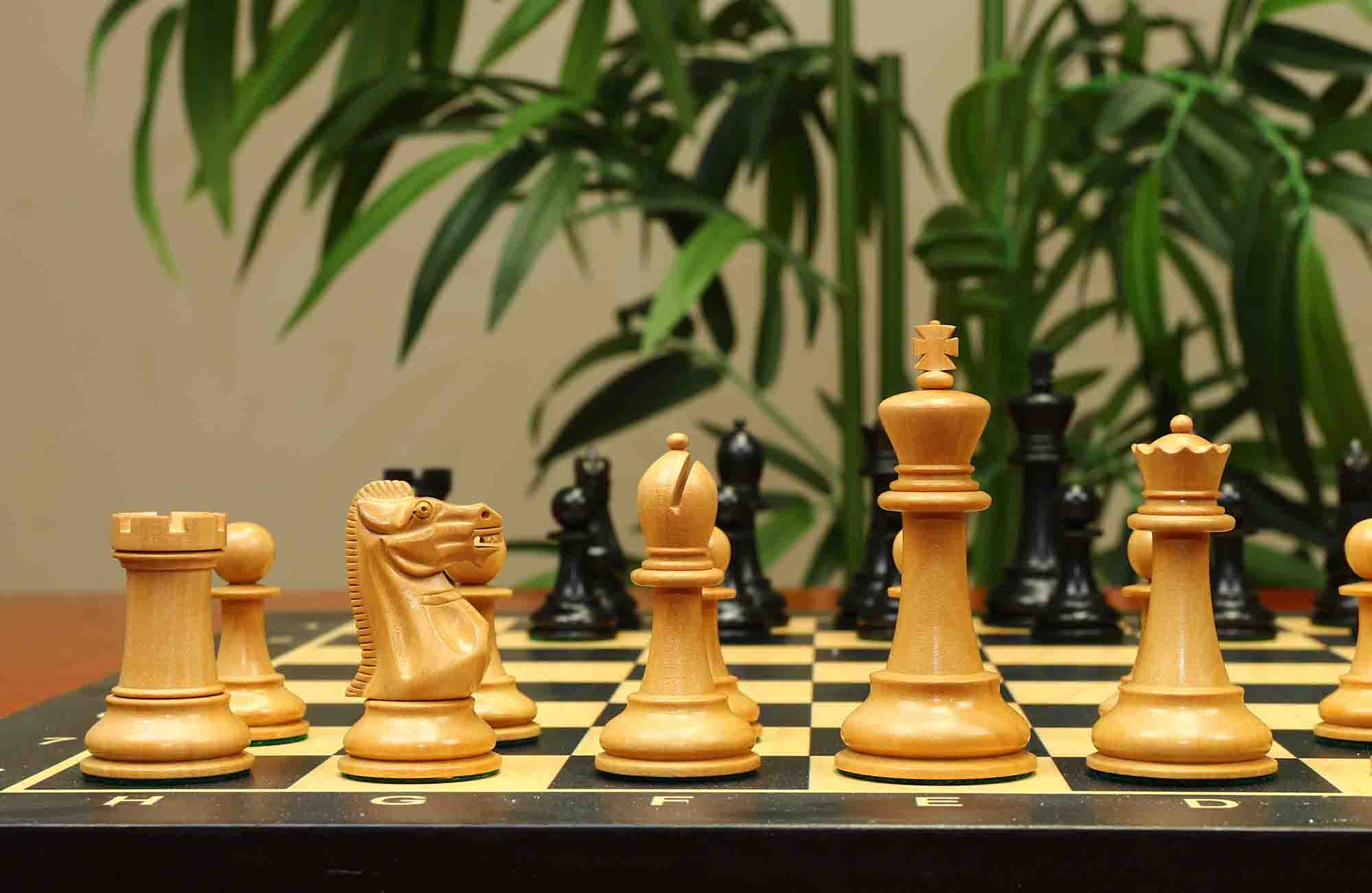 17th Olympiad Havana 1966 Circa Reproduction 3.78" Staunton Chessmen Natural/Ebonised Boxwood