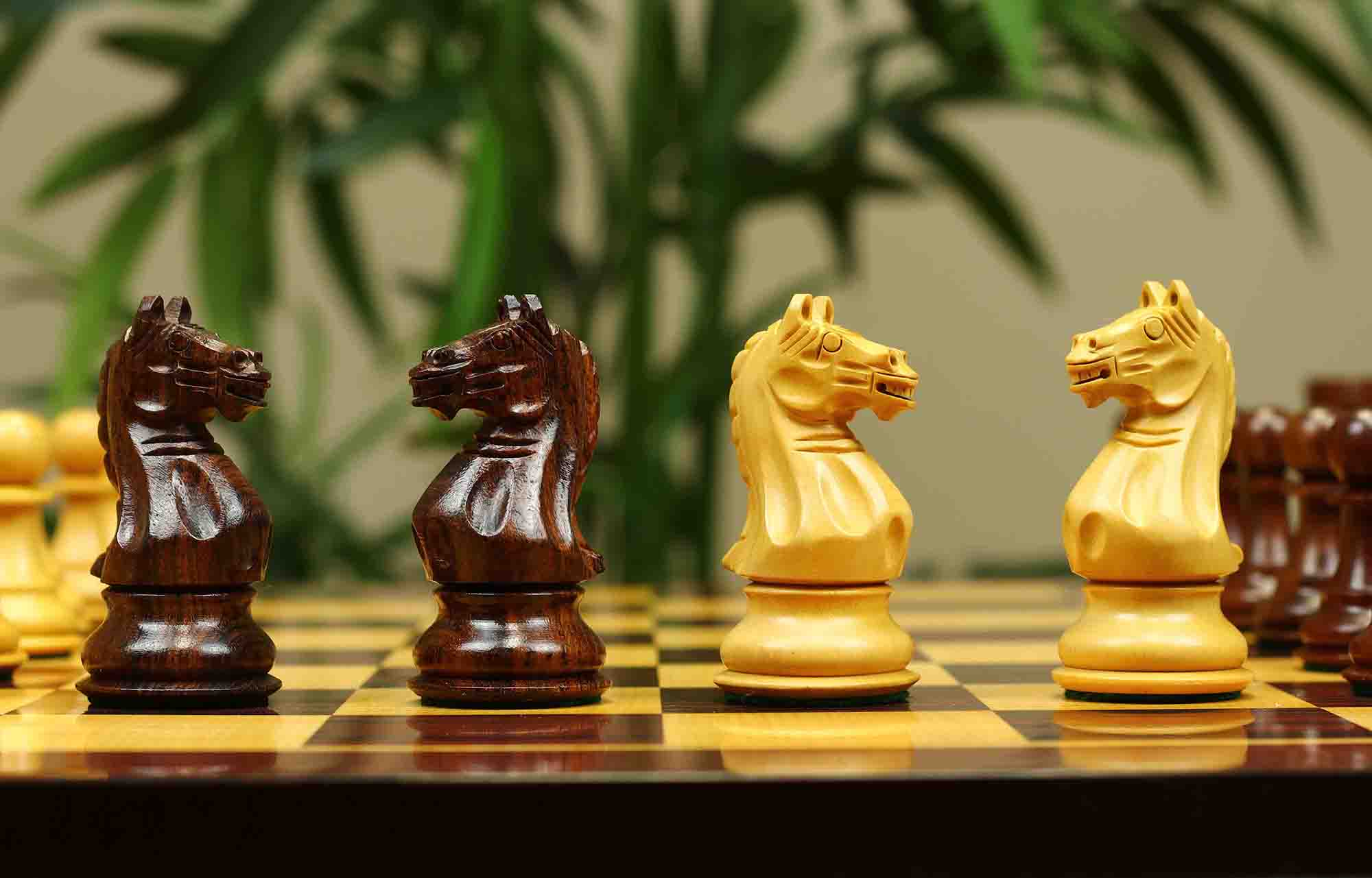 Fierce Series Chess Set 4" Staunton Chess Set - Indian Rosewood & Boxwood