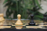 The Fischer Dubrovnik 1970 Upgraded Version Chess set in Natural and Ebonised Boxwood