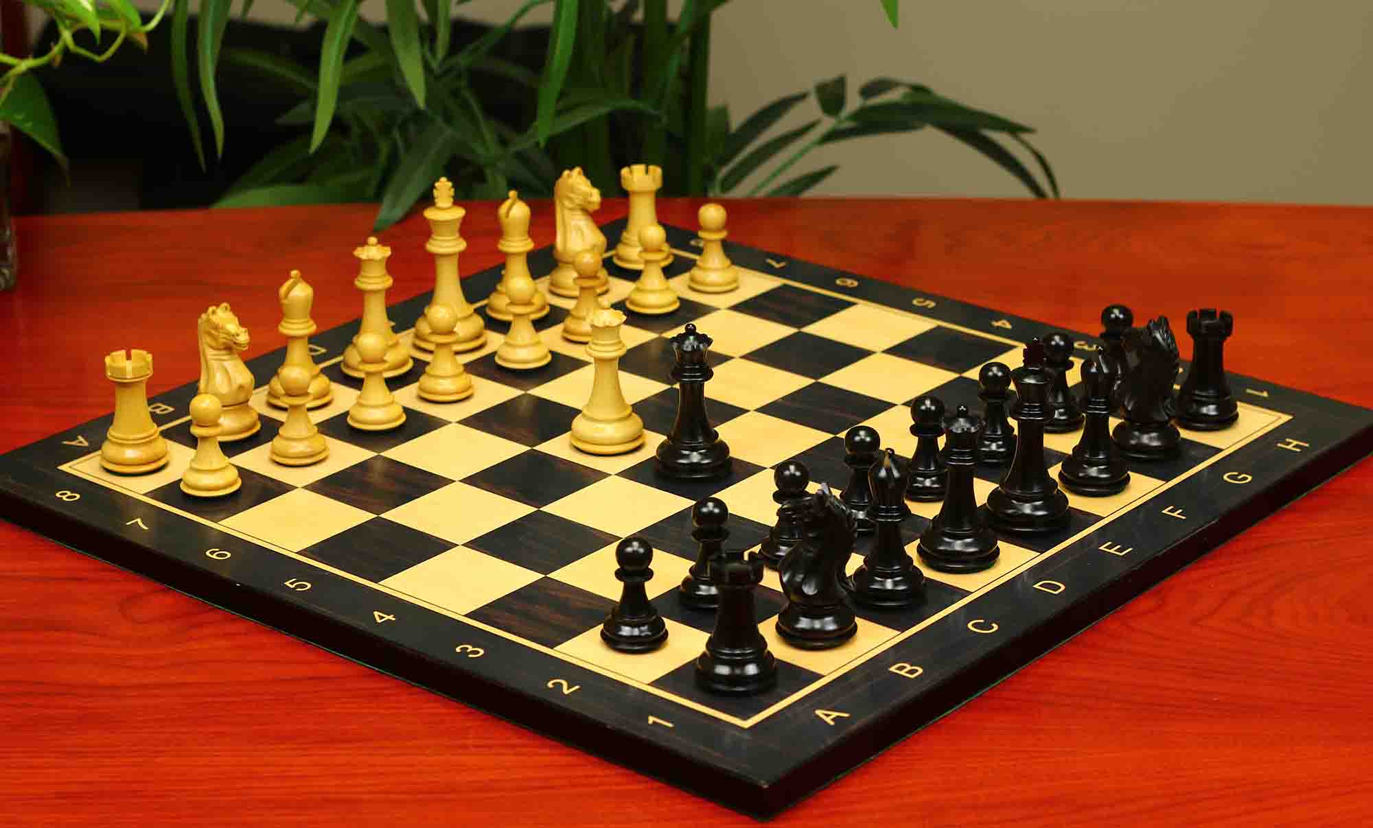 Fierce Series Chess Set 4" Staunton Chess Set - Ebony & Boxwood