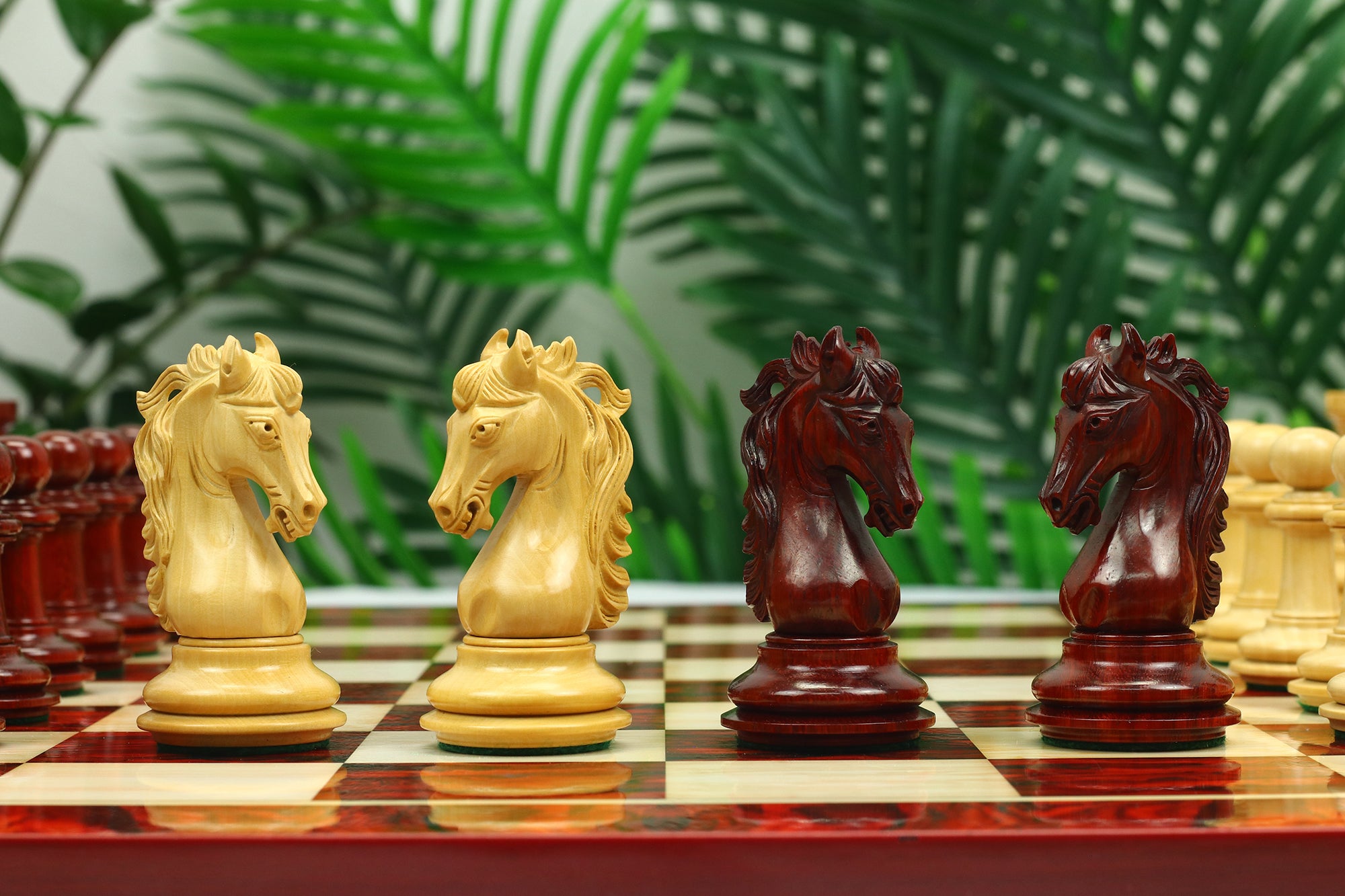 Danum Series 4.4" Premium Staunton Chess Set in Boxwood & Blood Rosewood