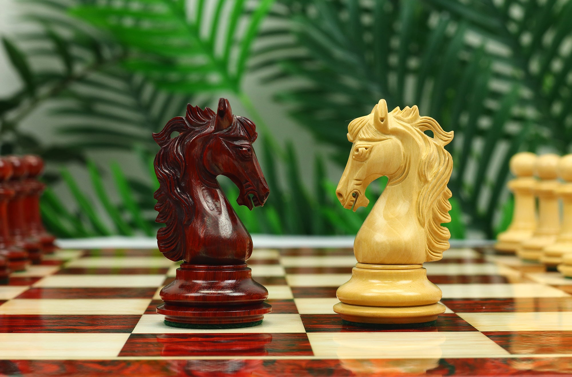 Danum Series 4.4" Premium Staunton Chess Set in Boxwood & Blood Rosewood