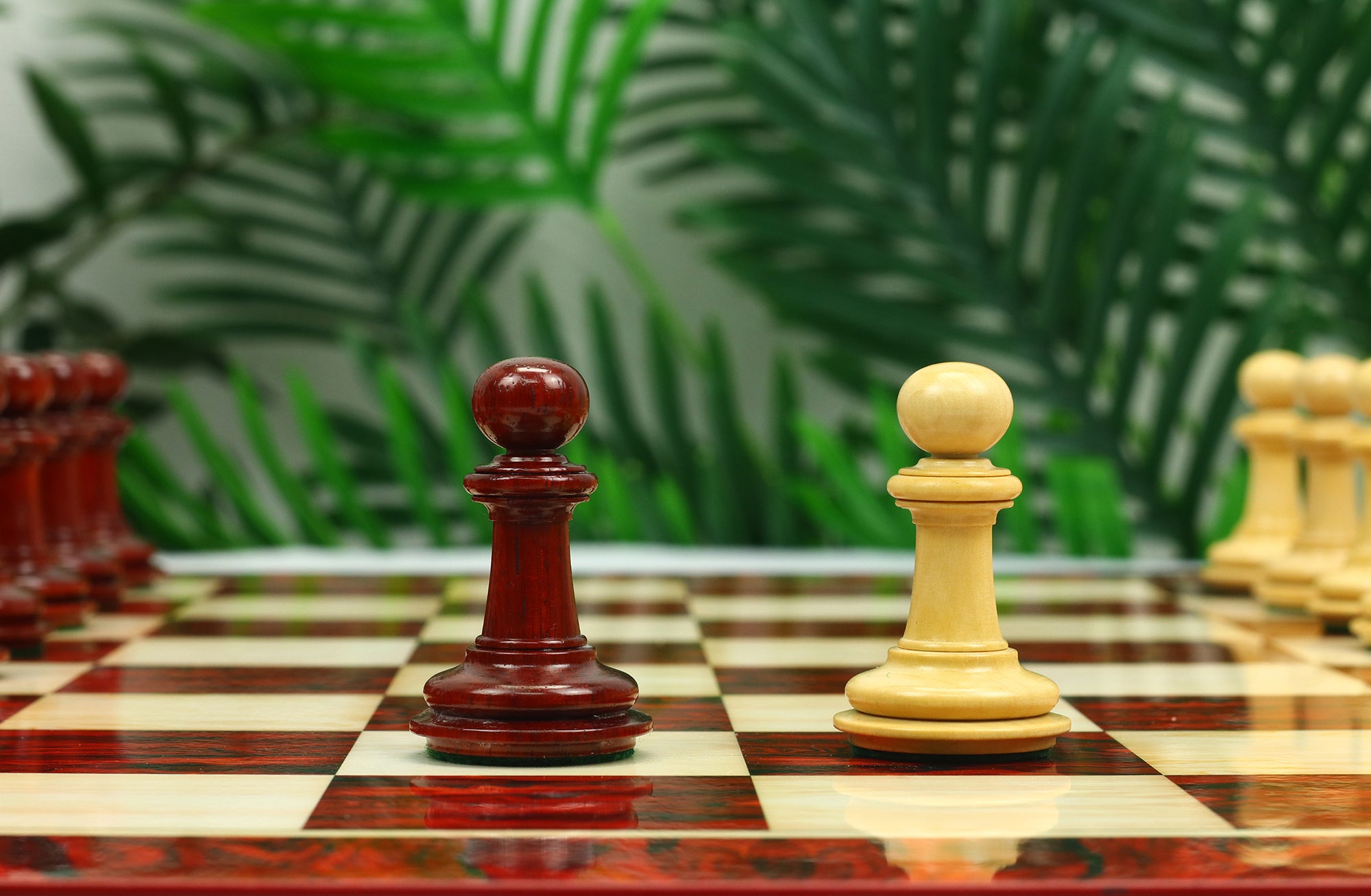 Danum Series 4.4" Premium Staunton Chess Set in Boxwood & Blood Rosewood