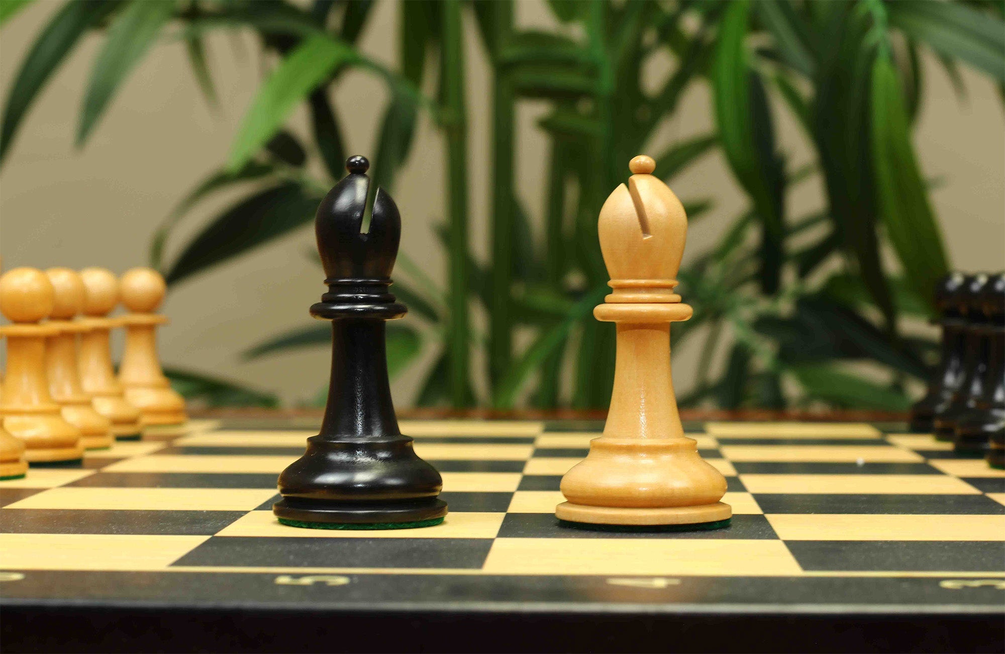 17th Olympiad Havana 1966 Circa Reproduction 3.78" Staunton Chessmen Natural/Ebonised Boxwood