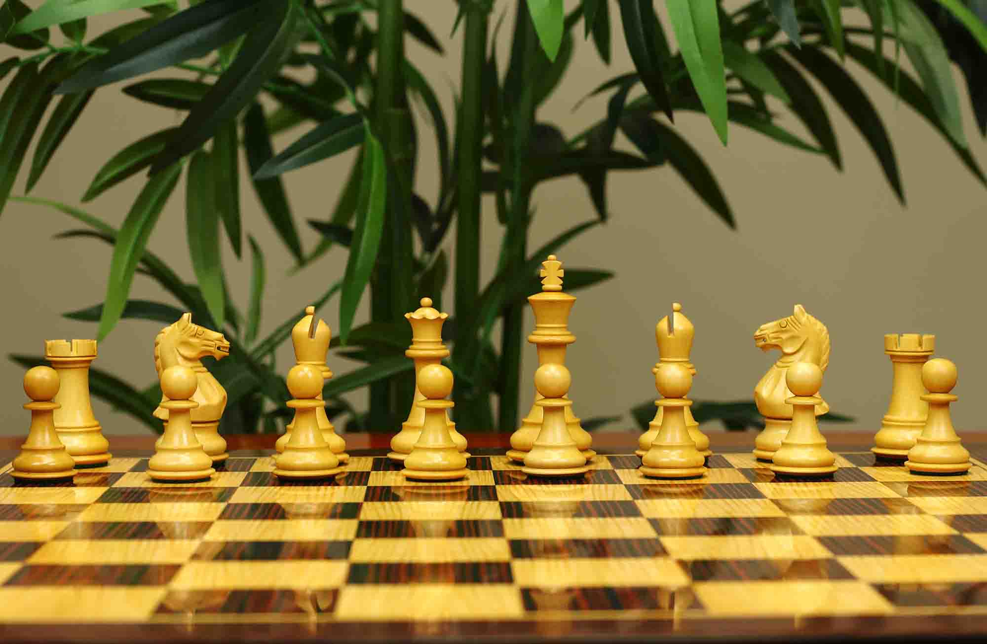 Fierce Series Chess Set 4" Staunton Chess Set - Indian Rosewood & Boxwood