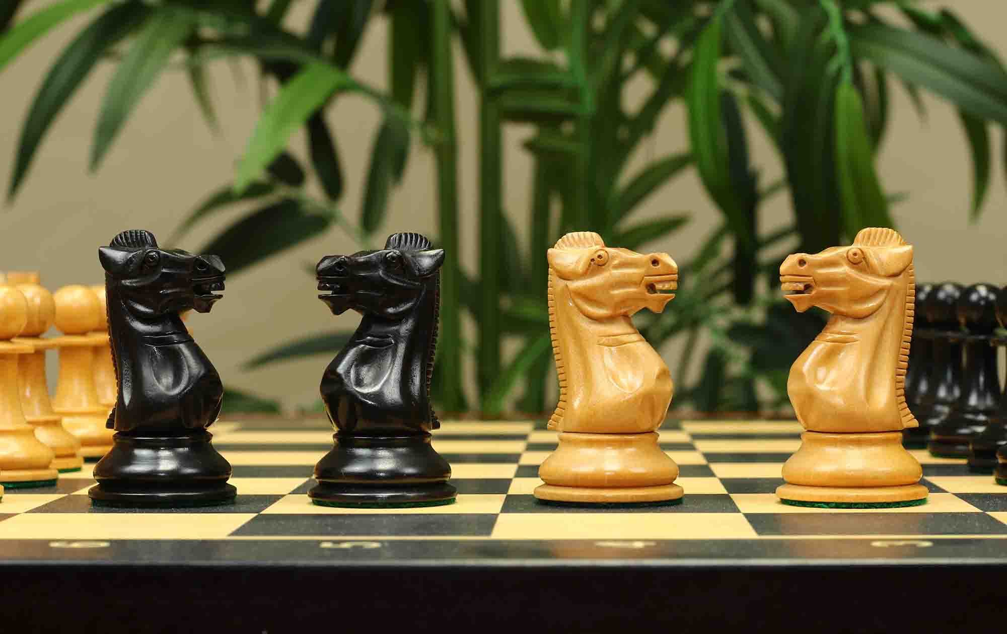 17th Olympiad Havana 1966 Circa Reproduction 3.78" Staunton Chessmen Natural/Ebonised Boxwood