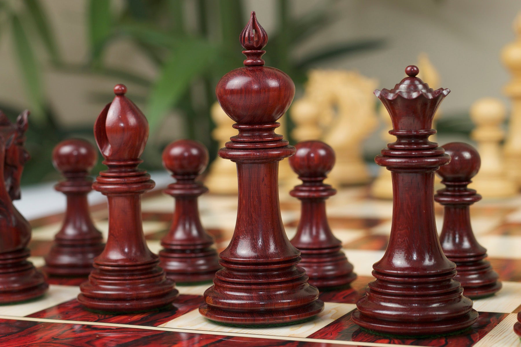 Valluzia Series 4.4" Luxury Staunton Chessmen in Blood Rose Wood and Boxwood