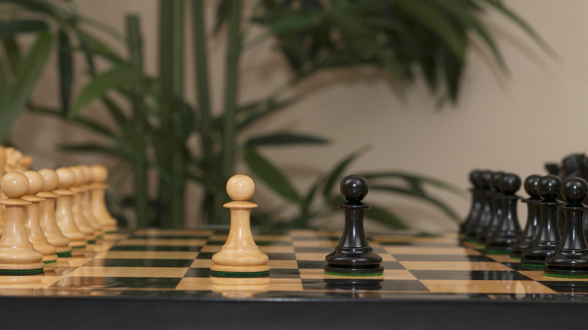 Commemorative Signature Series 3.625" Staunton Chessmen by MANDEEP SAGGU in Boxwood/Ebony